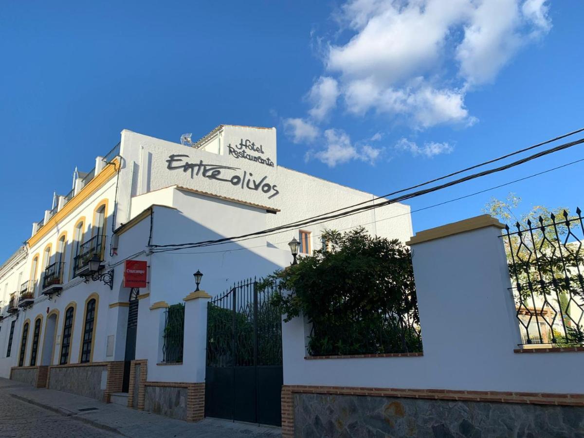 Hotel Entreolivos El Pedroso Eksteriør billede